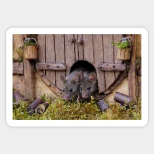 George the mouse in a log pile house - double trouble Sticker